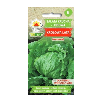 Sałata krucha lodowa Królowa Lata