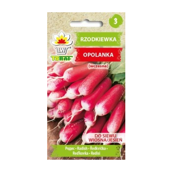 Rzodkiewka Opolanka