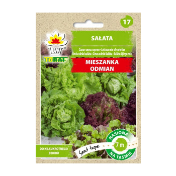 Sałata mix odmian taśma