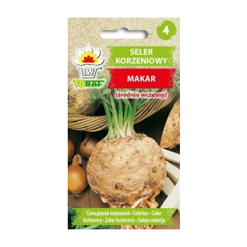 Seler korzeniowy Makar
