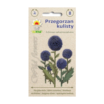 Przegorzan kulisty