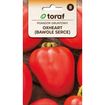 Pomidor  gruntowy OXHEART (Bawole Serce)