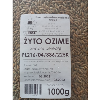 Żyto ozime
