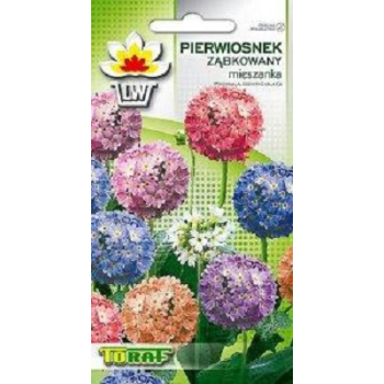 Pierwiosnek ząbkowany mix
