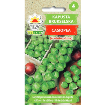 Kapusta brukselska CASIOPEA (śr. późna)