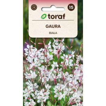 Gaura biała