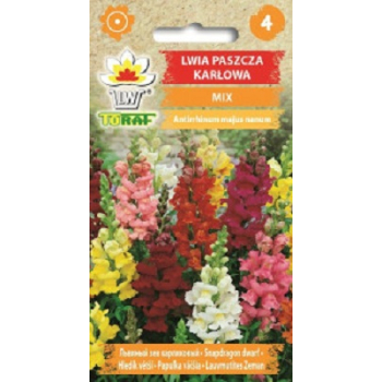 Lwia paszcza karłowa mix