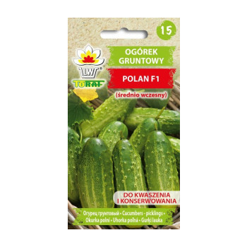 Ogórek gruntowy Polan F1