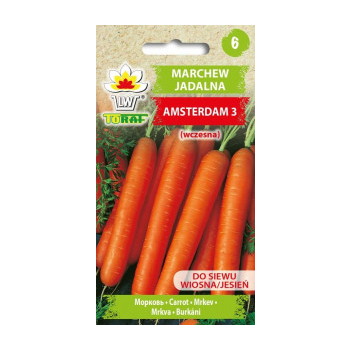Marchew Amsterdam 3