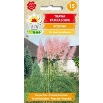 Trawa pampasowa różowa