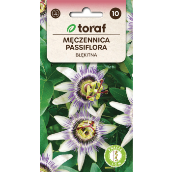Męczennica, Passiflora