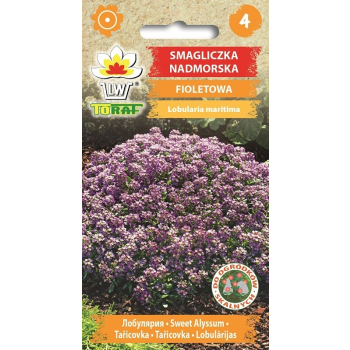 Smagliczka nadmorska