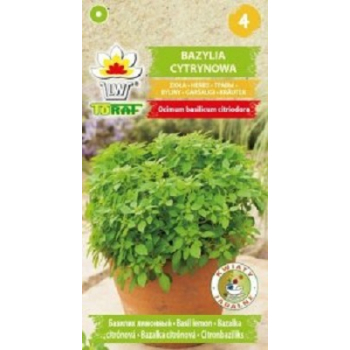 Bazylia cytrynowa