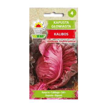 Kapusta głowiasta czerwona Kalibos