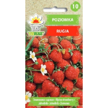 Poziomka Rugia