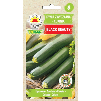 Cukinia BLACK BEAUTY