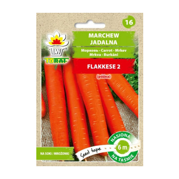 Marchew Flakkese 2 późna taśma