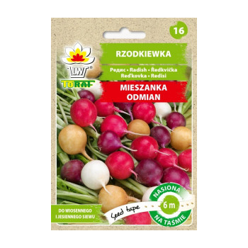 Rzodkiewka mix odmian taśma