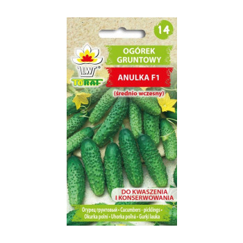 Ogórek gruntowy Anulka F1