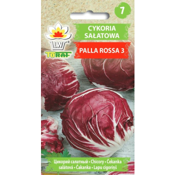 Cykoria sałatowa PALLA ROSSA 3 (czerwona)