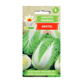 Kapusta Pekińska Bristol
