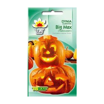 Dynia olbrzymia Big Max